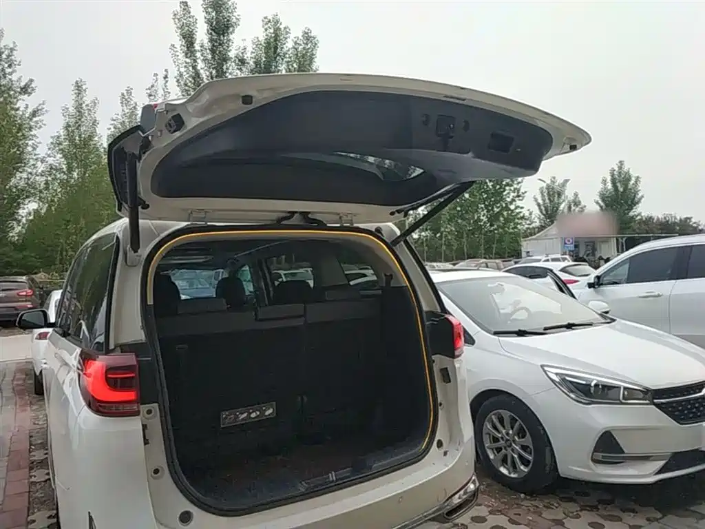 GAC Trumpchi Trumpchi M8 2021 Leading Show Series 390T Ultimate Edition фото 15