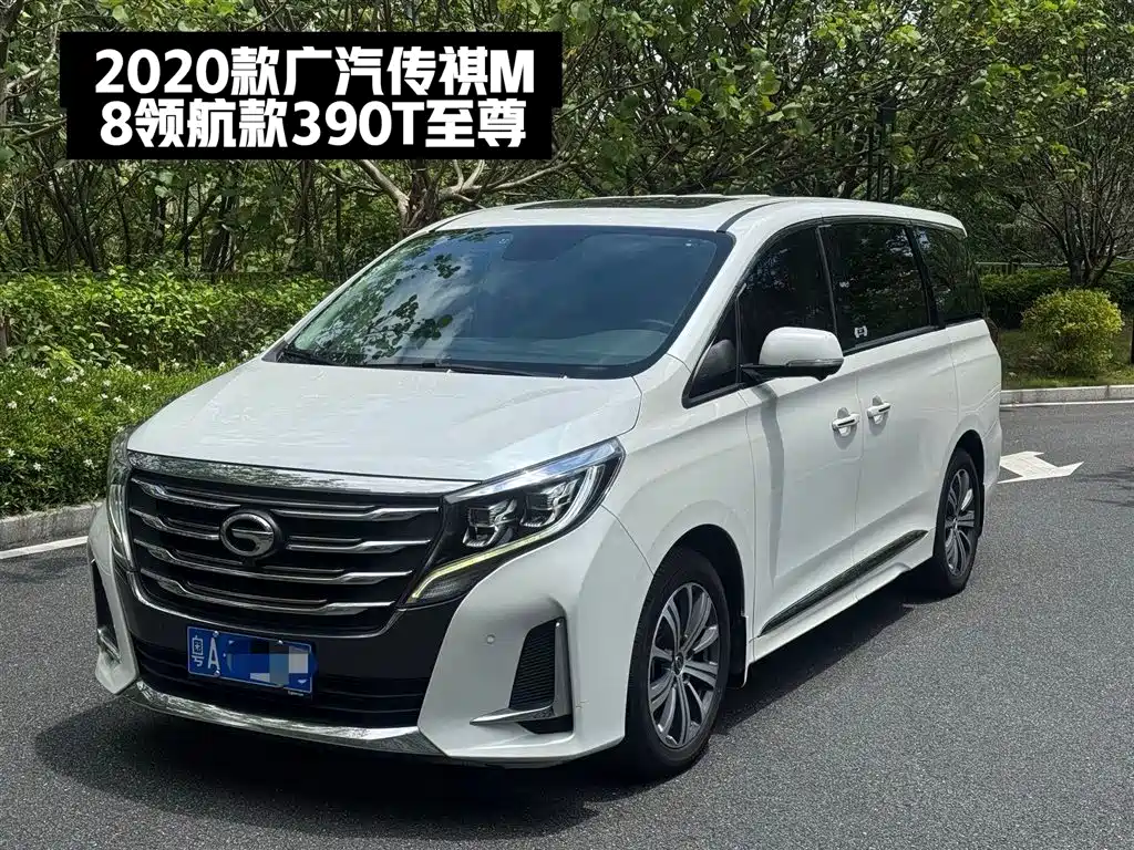 GAC Trumpchi Trumpchi M8 2020 Pilot 390T Ultimate Edition фото 2