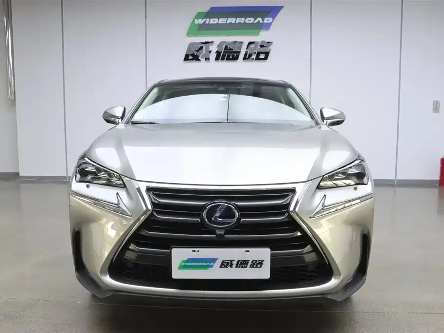 Lexus NX 2015 300h AWD F SPORT фото 2