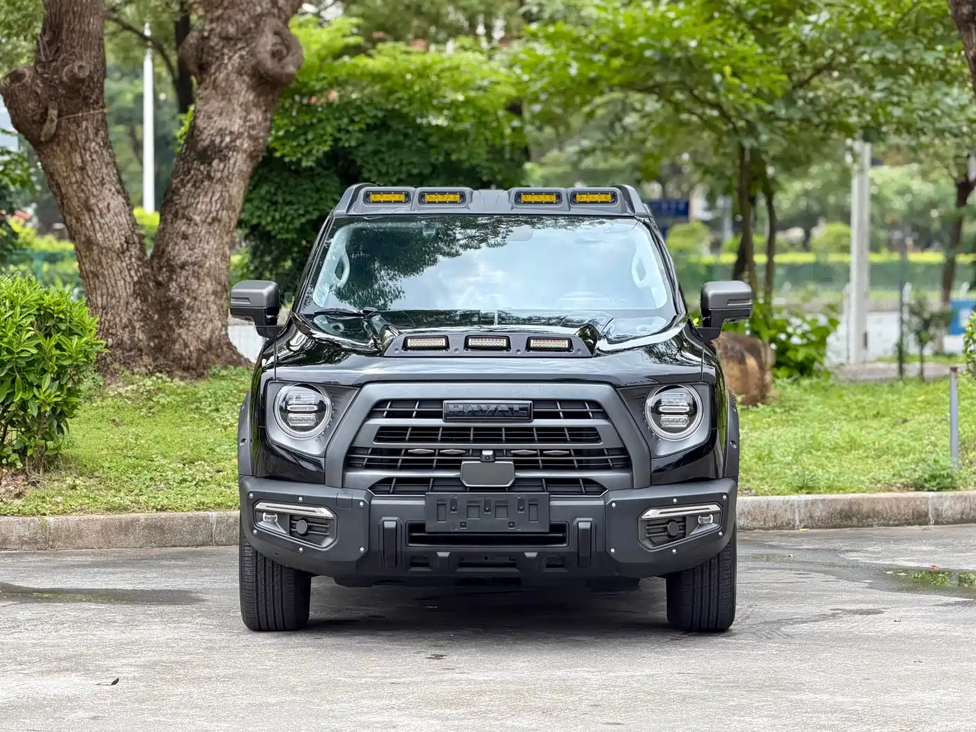 Haval Big Dog 2024 2.0T DCT Chinese Rural Dog Edition фото 2