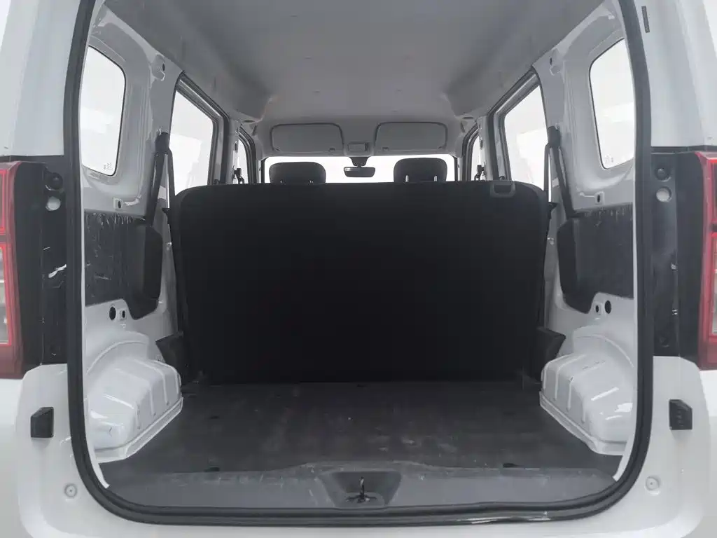 Wuling Motors Wuling Zhiguang NEV 2025 2025 Standard Version