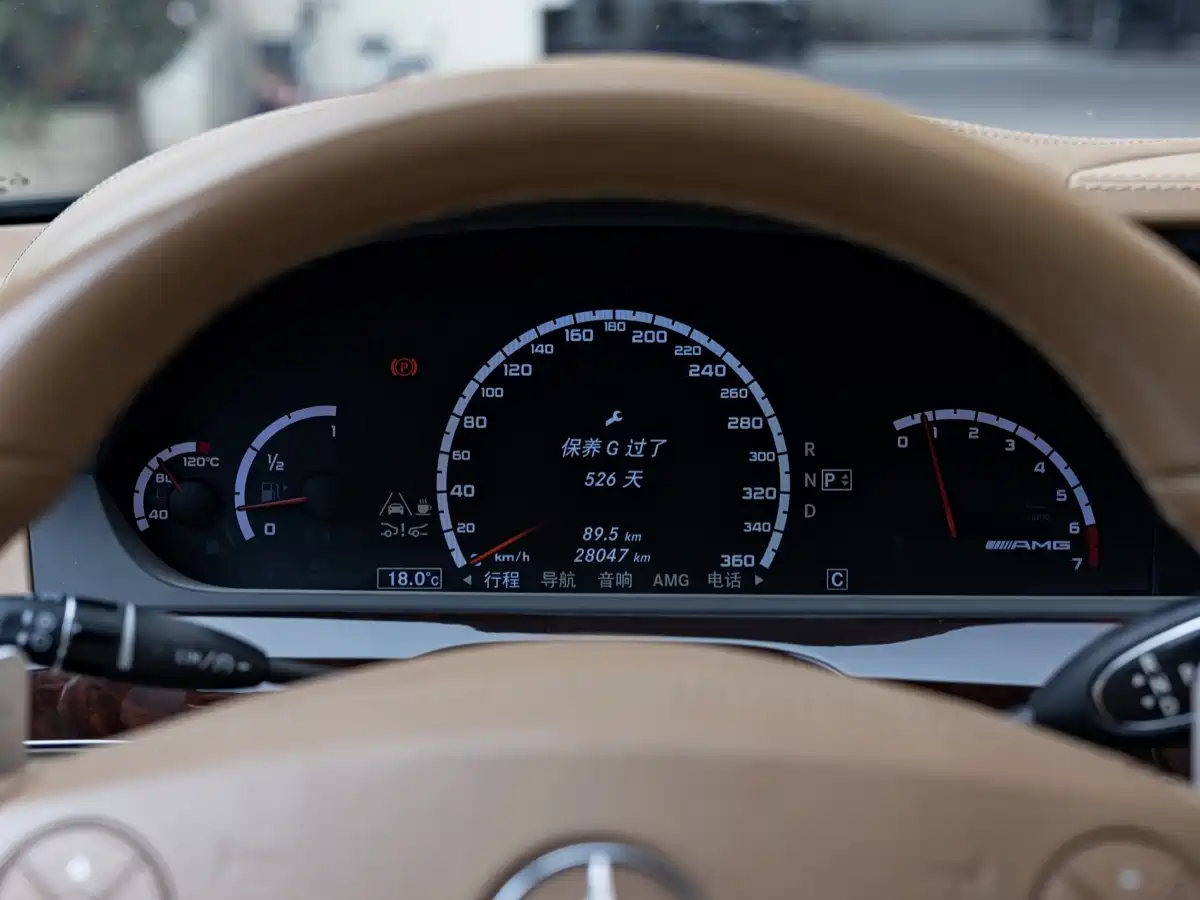 Mercedes-Benz S-Class AMG 2010 AMG S 65 фото 13