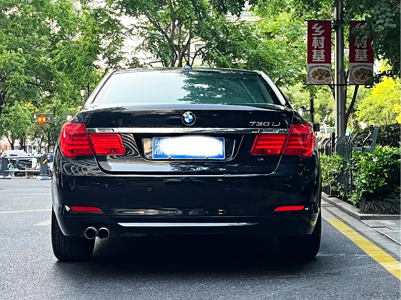 BMW 7 Series 2009 730Li Leading фото 5