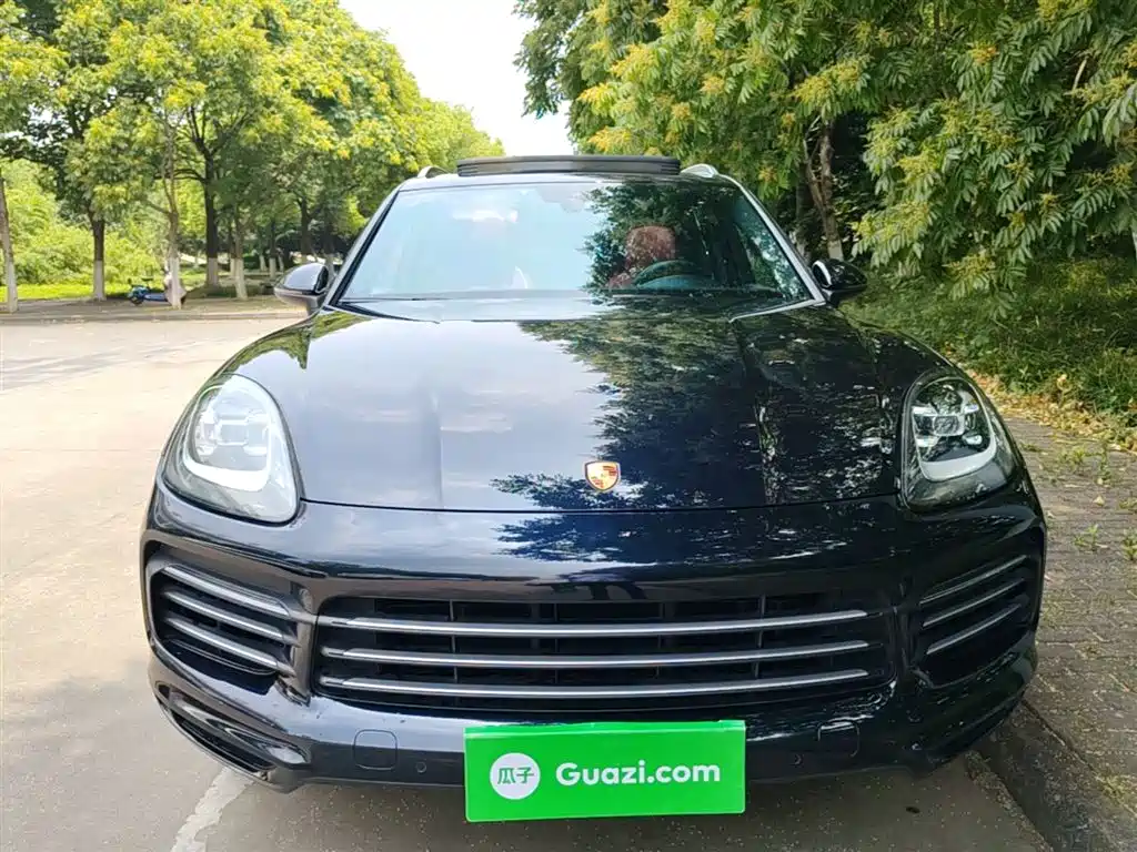Porsche Cayenne 2019 Cayenne 3.0T фото 3