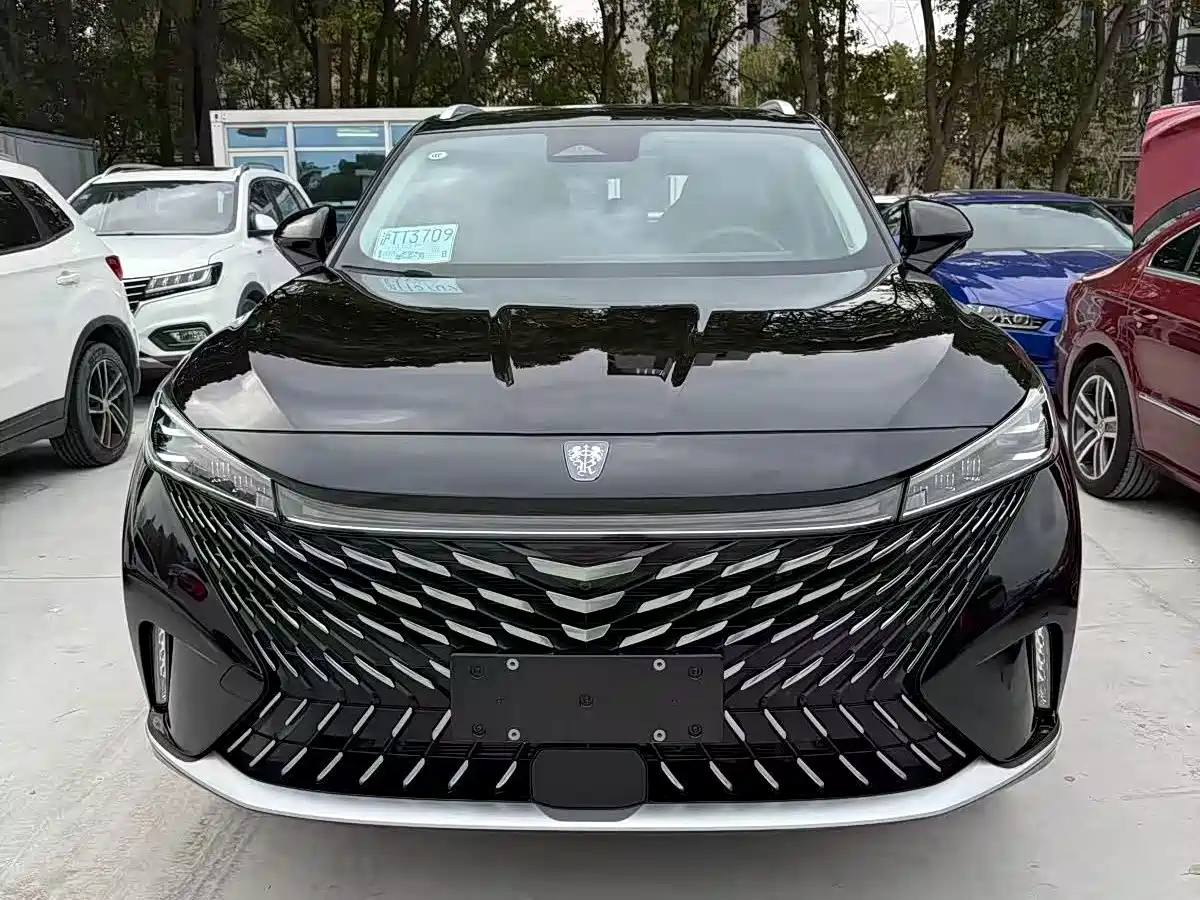 Фото 2 - Roewe RX5 New Energy