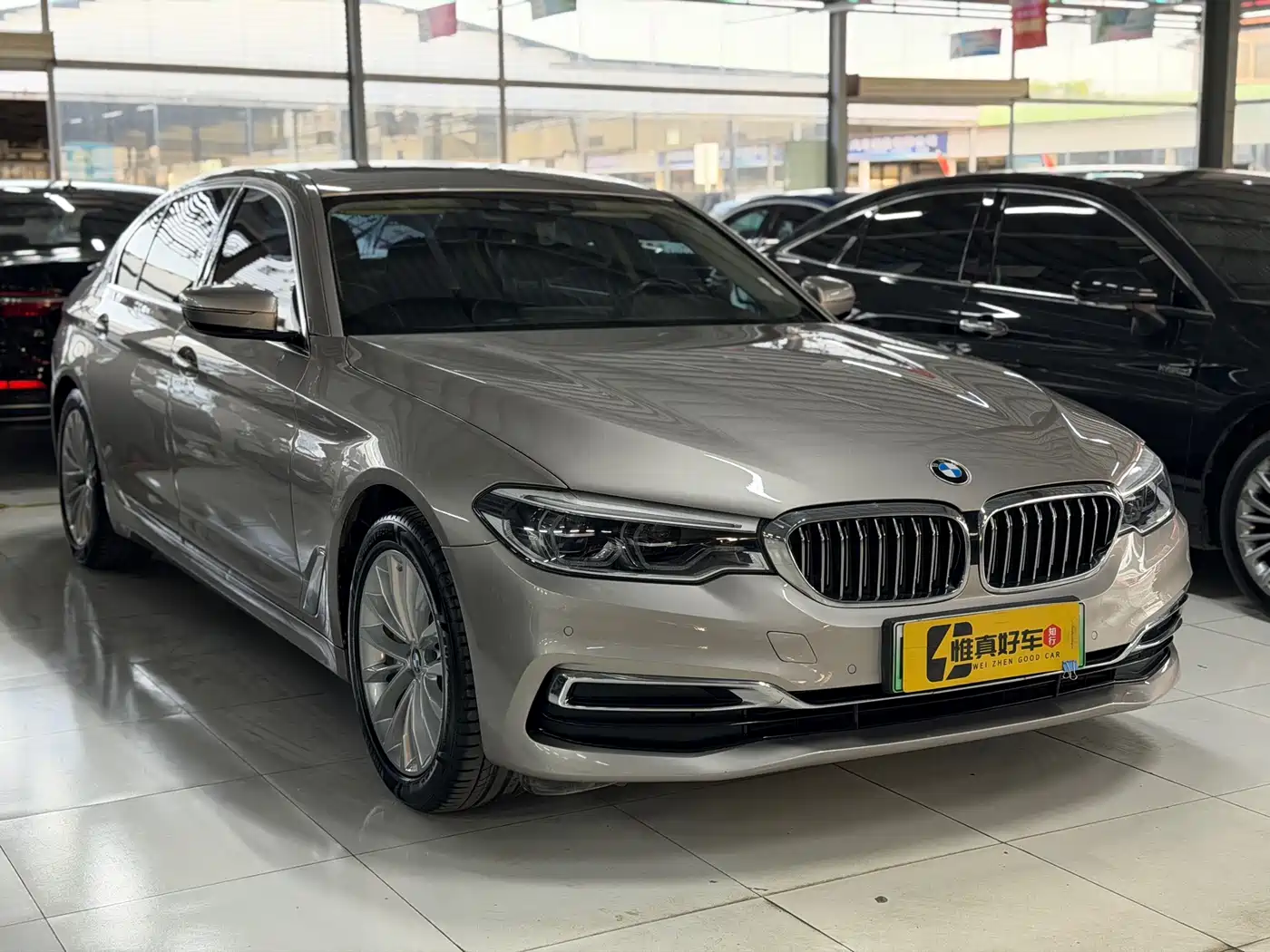 BMW 5 Series New Energy 2020 530Le Luxury Package фото 3