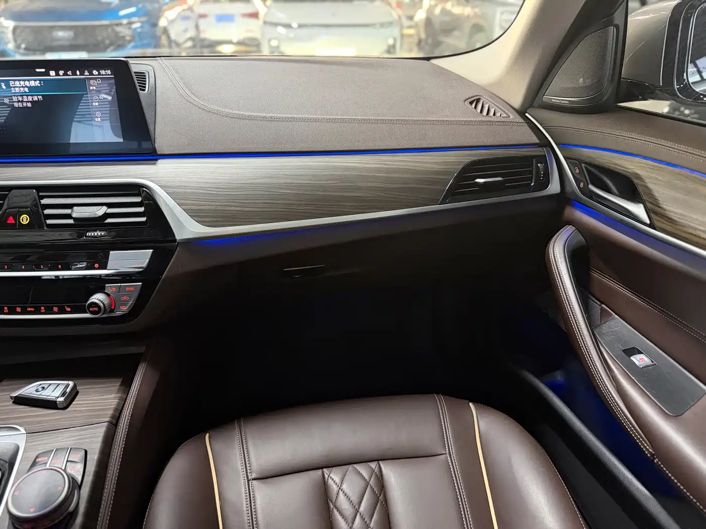 BMW 5 Series New Energy 2020 530Le Luxury Package фото 11