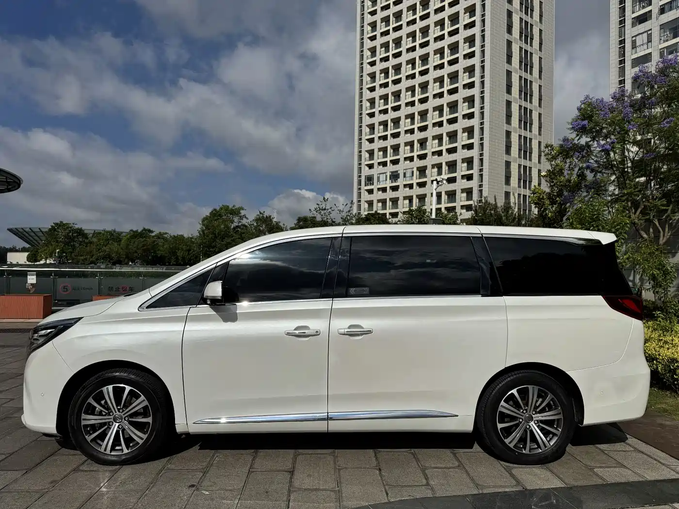 GAC Trumpchi Trumpchi M8 2018 320T Flagship Edition фото 7