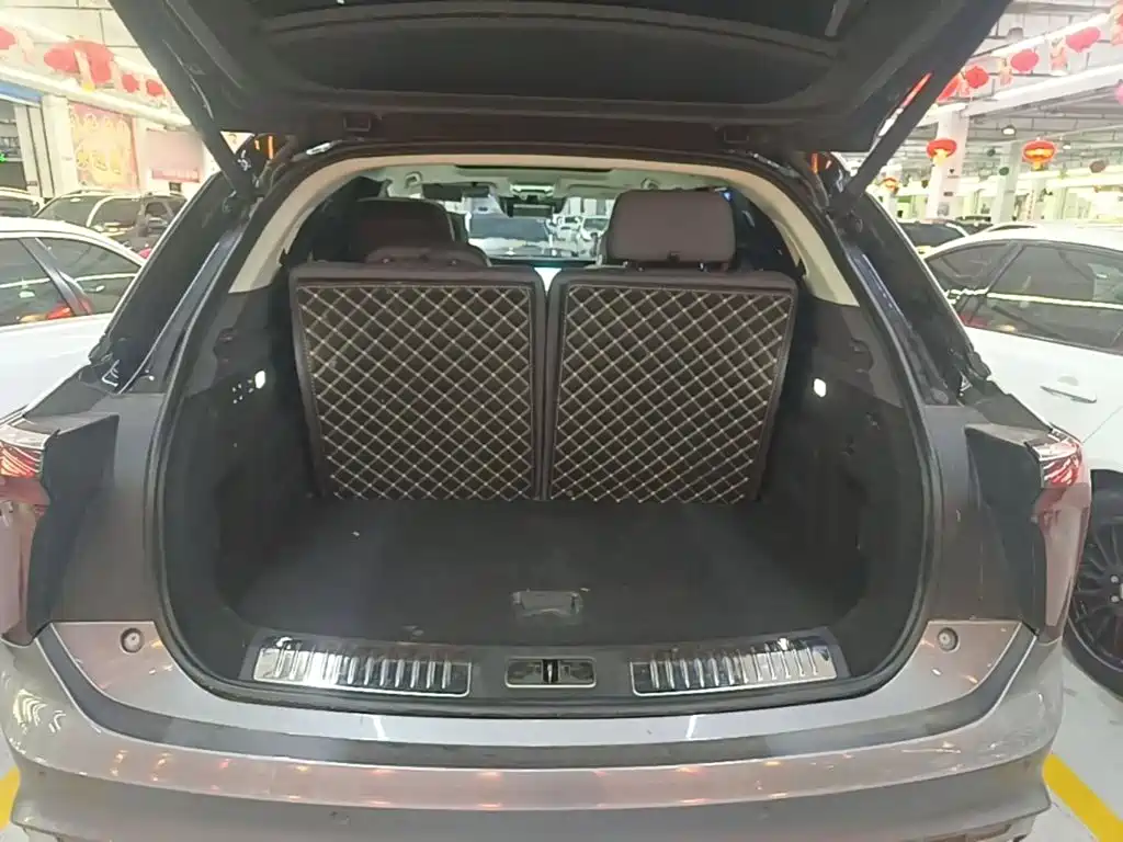 Фото 19 - Hongqi E-HS9