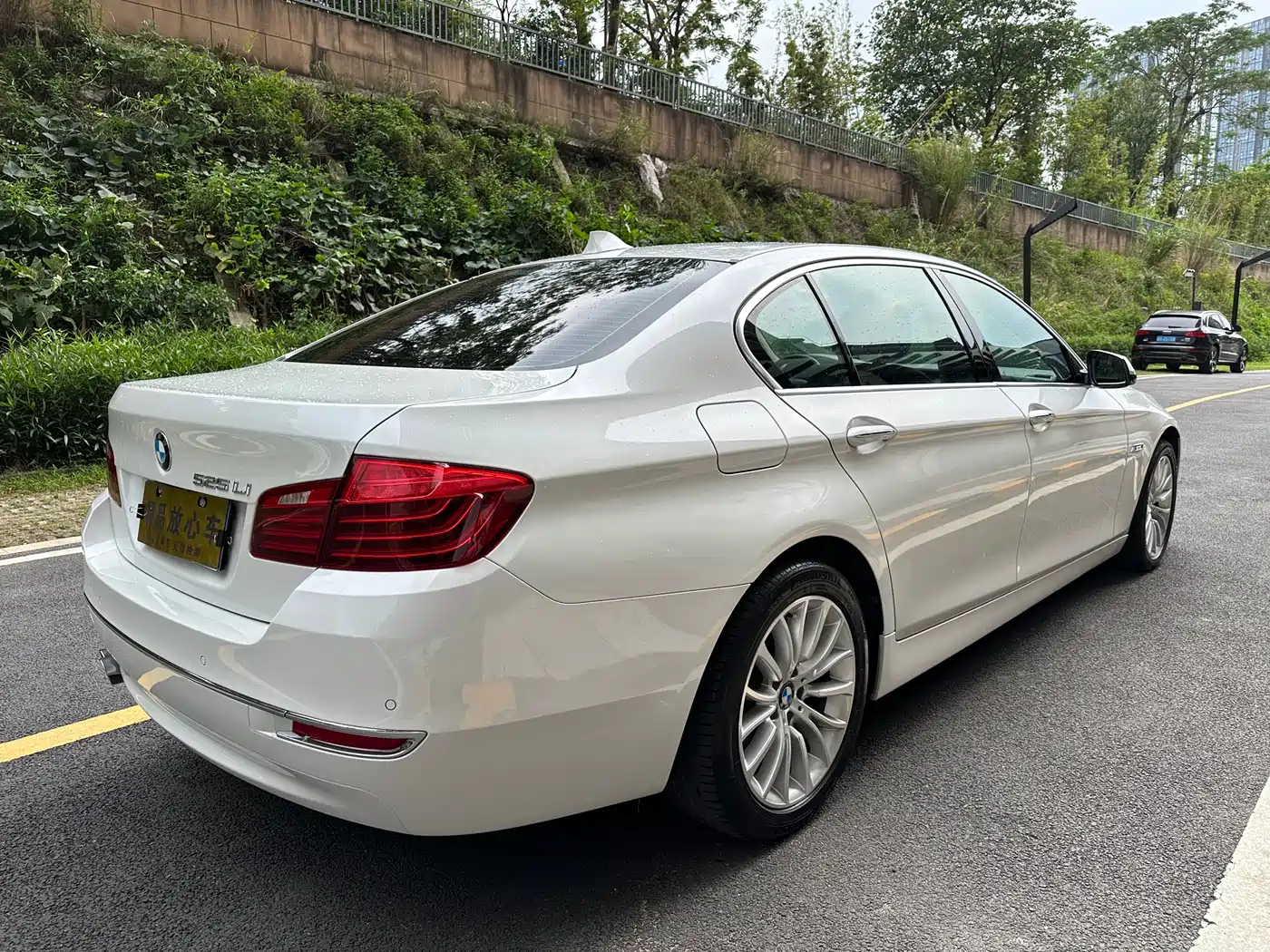 BMW 5 Series 2014 525Li Luxury Design Package фото 5