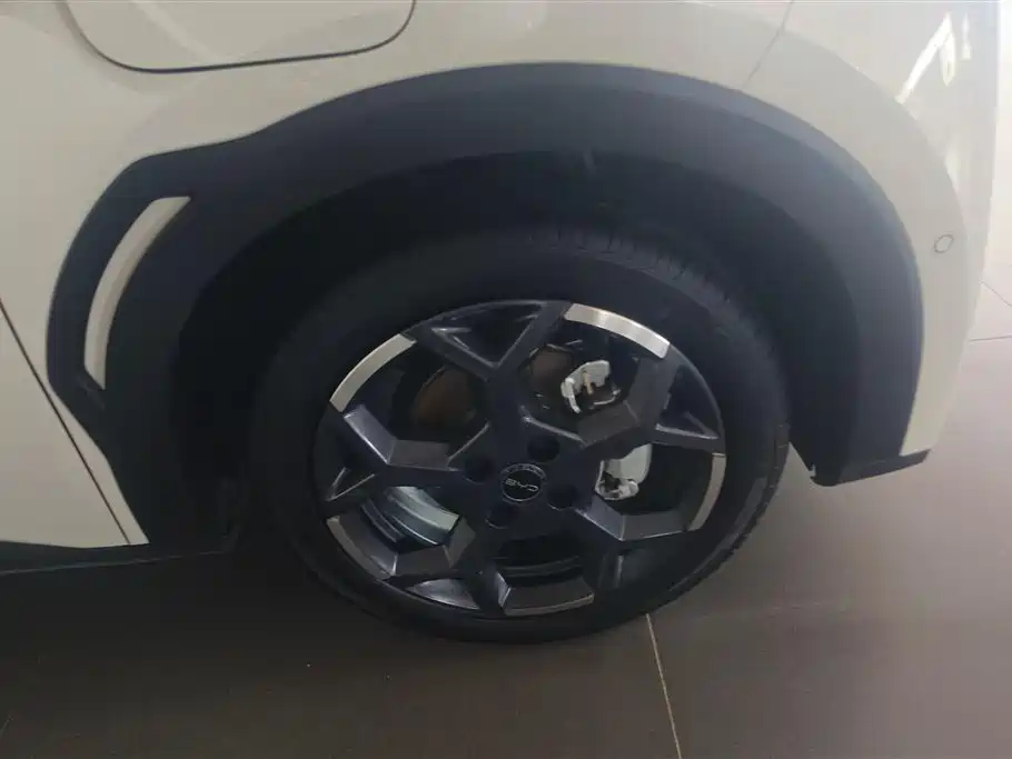 BYD Seagull 2025 Smart Drive Edition 305km Freedom Version фото 6