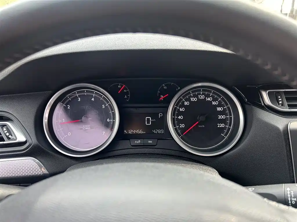 Peugeot 408 2020 360THP 10th Anniversary Premium Edition фото 15