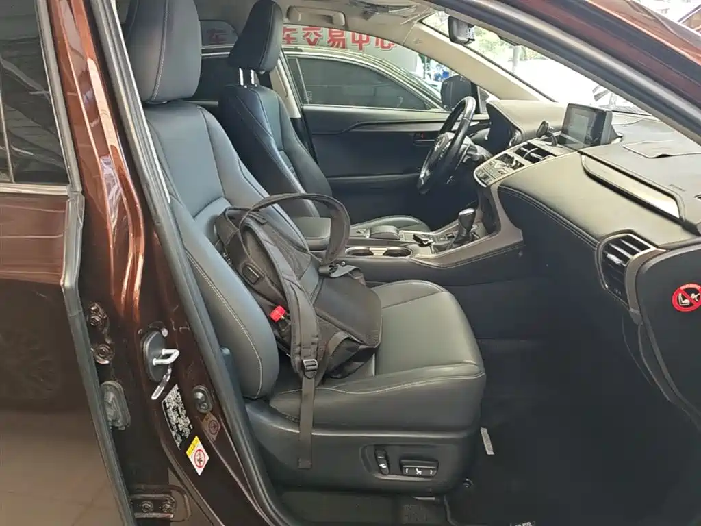 Lexus NX 2018 300h FWD Sharp Edition China VI фото 25
