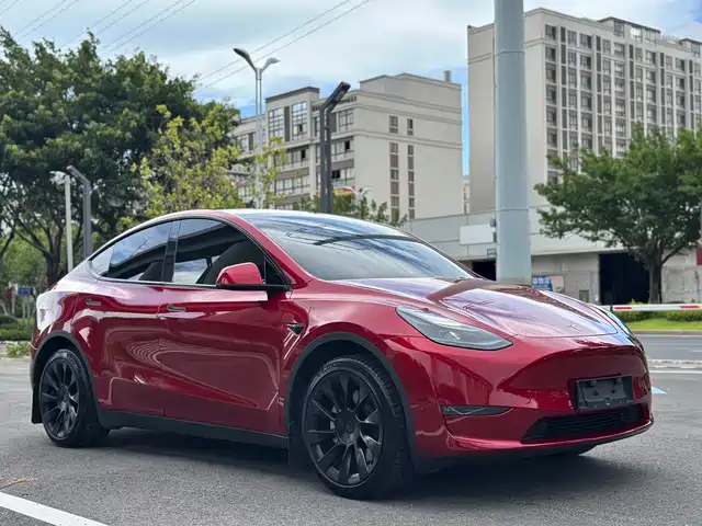 Tesla Model Y 2024 Long Range AWD — фото 3