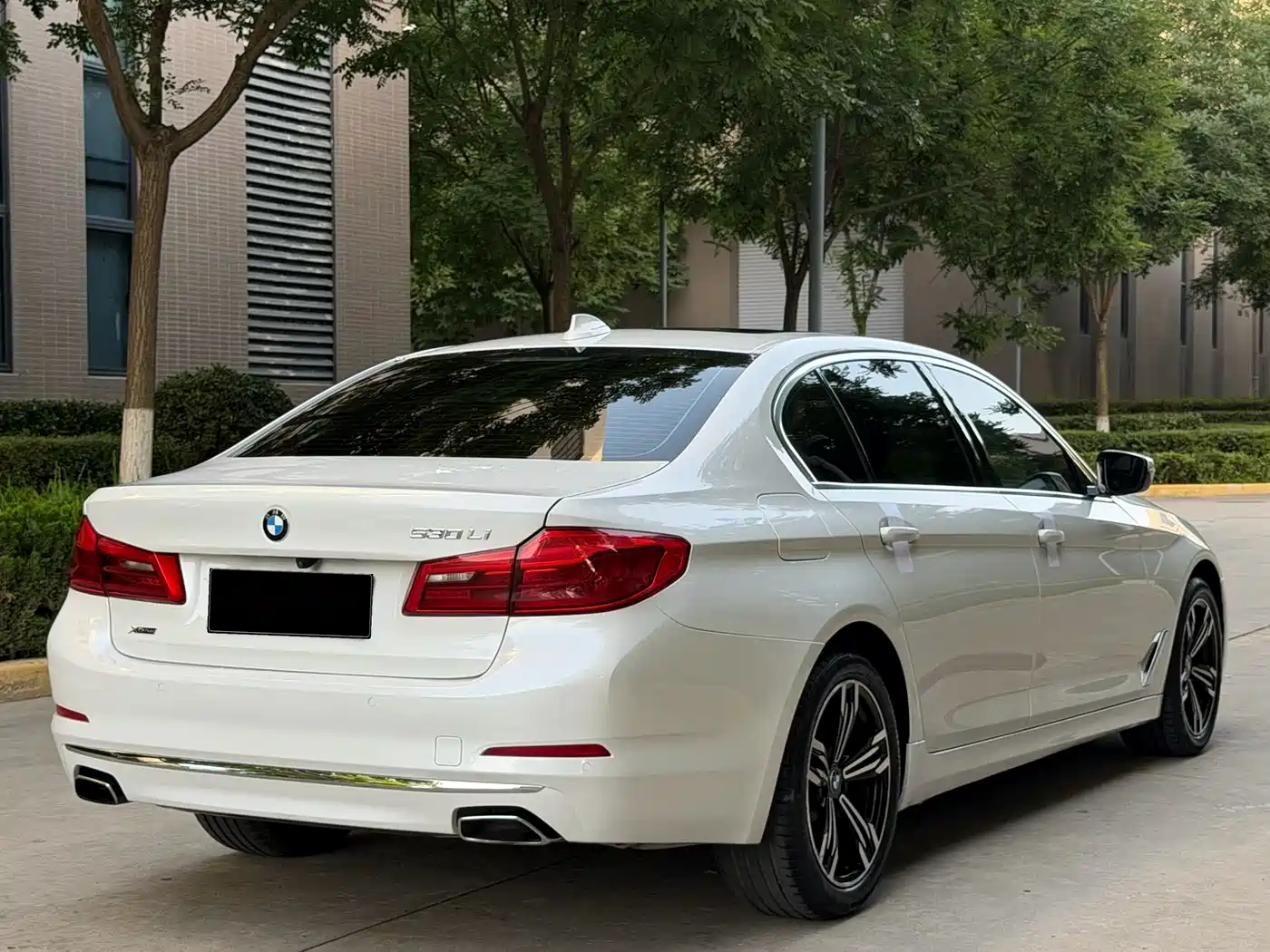 BMW 5 Series 2019 530Li xDrive Luxury Package фото 18