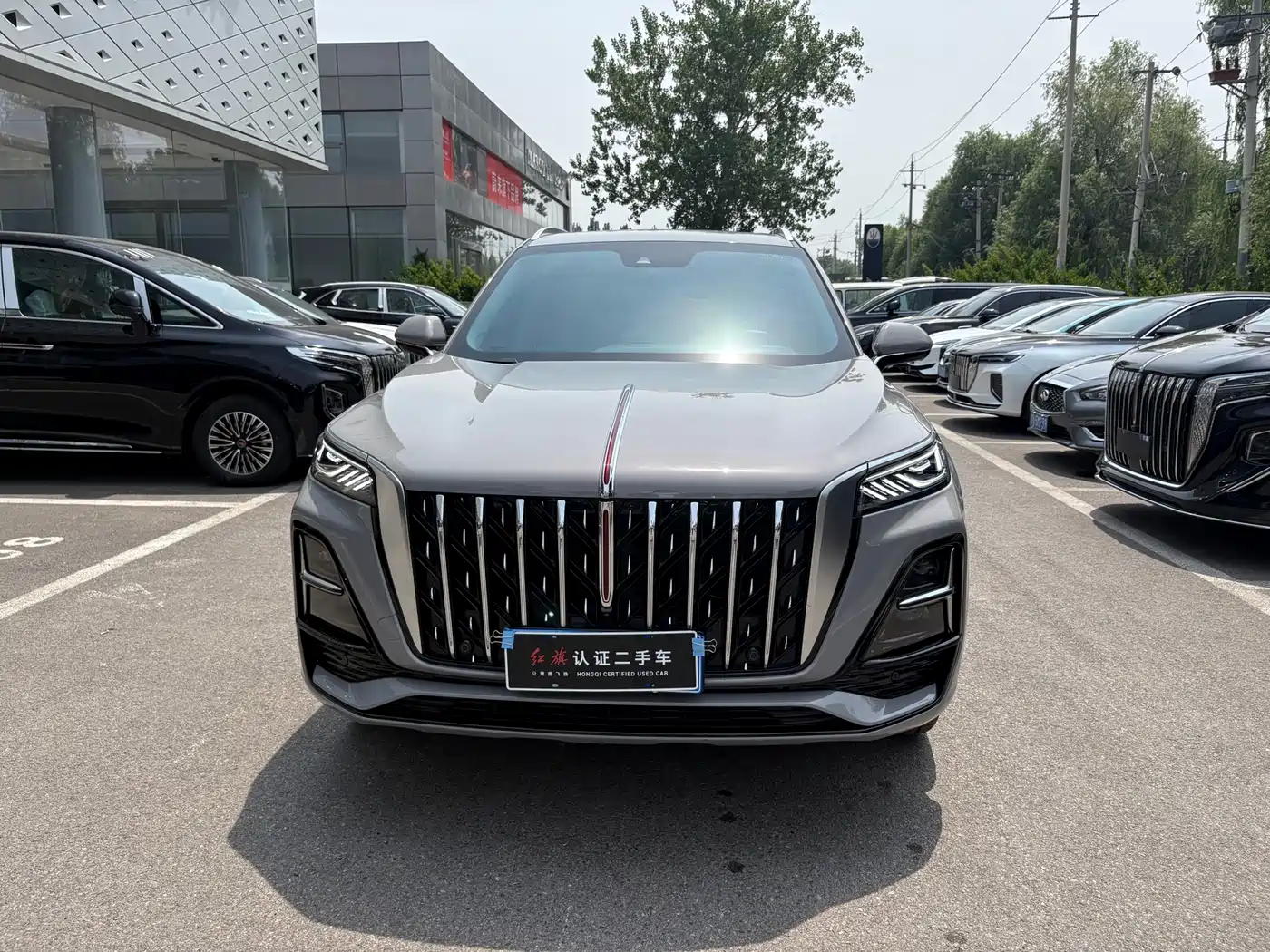Hongqi HS5 2023 2.0T AWD Flag Enjoy Pro Edition фото 2