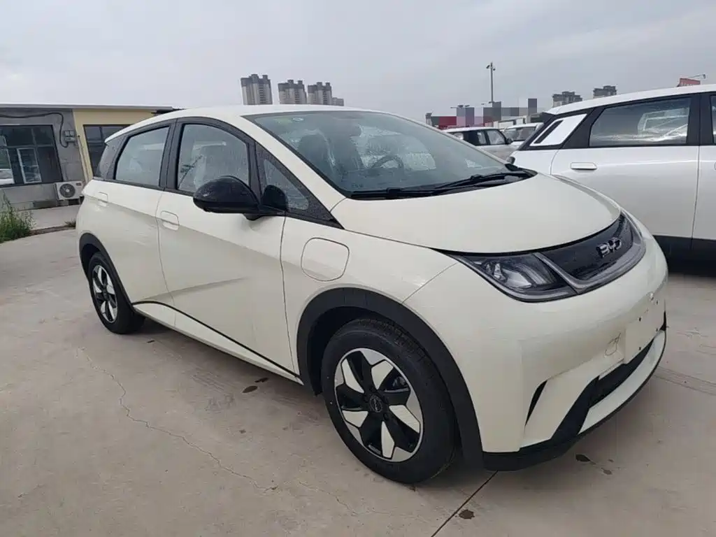 BYD Dolphin 2026 2025 420km Freedom Edition