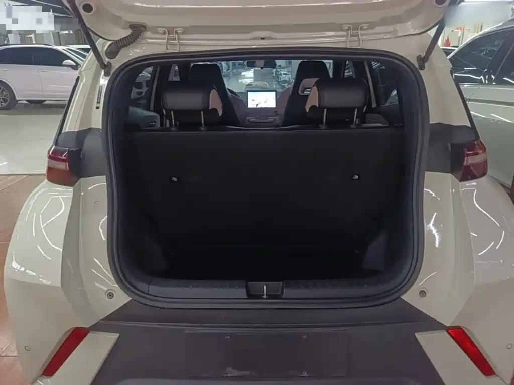 BYD Seagull 2023 2023 Vitality Edition