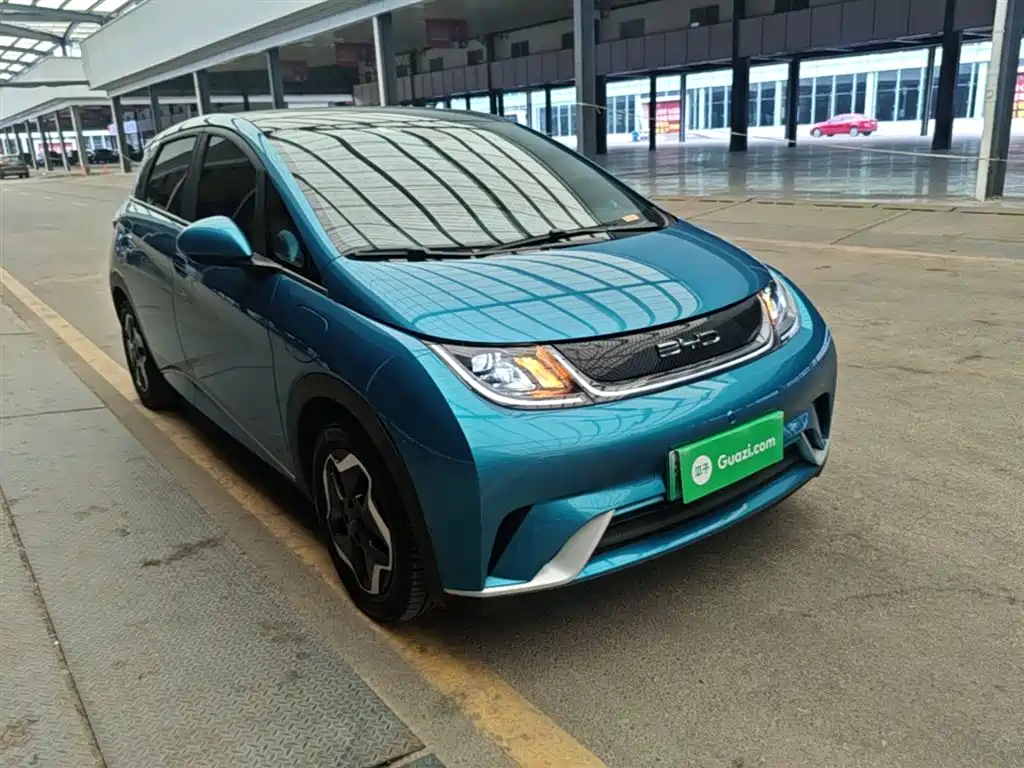 BYD Dolphin 2021 Model 405km Fashion Edition фото 4