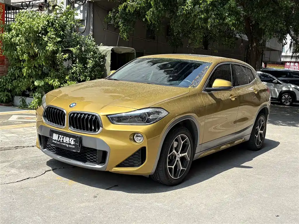 BMW X2 (Import) 2019 sDrive20i M Off-Road Package China VI
