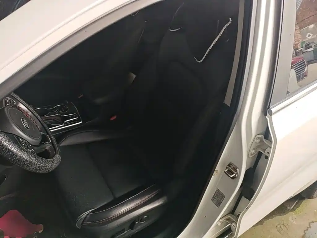 Kia KX5 2019 2019 1.6T Automatic 2WD Luxury Edition