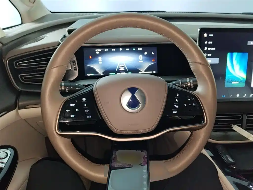 Denza D9 2022 DM-i 970 AWD Flagship фото 11