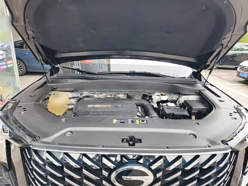 GAC Trumpchi Trumpchi GS8 2022 Pilot Series 2.0TGDI 2WD Luxury Smart Connect Edition (7-Seater) фото 20
