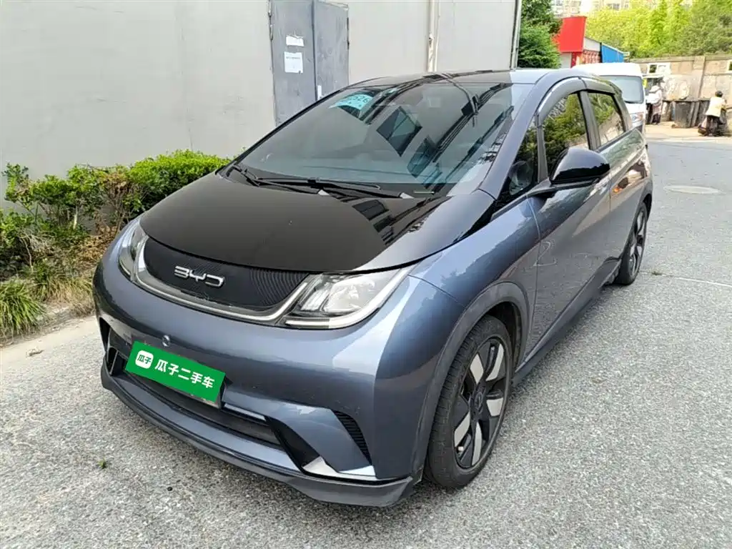 BYD Dolphin 2023 401km Knight Edition фото 2