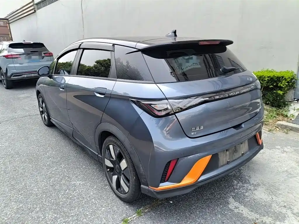 BYD Dolphin 2023 401km Knight Edition фото 5