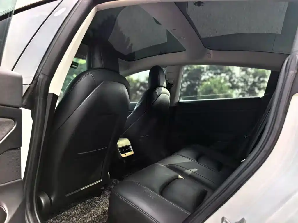 Tesla Model 3 2020 2020 Standard Range Rear-Wheel Drive Upgrade