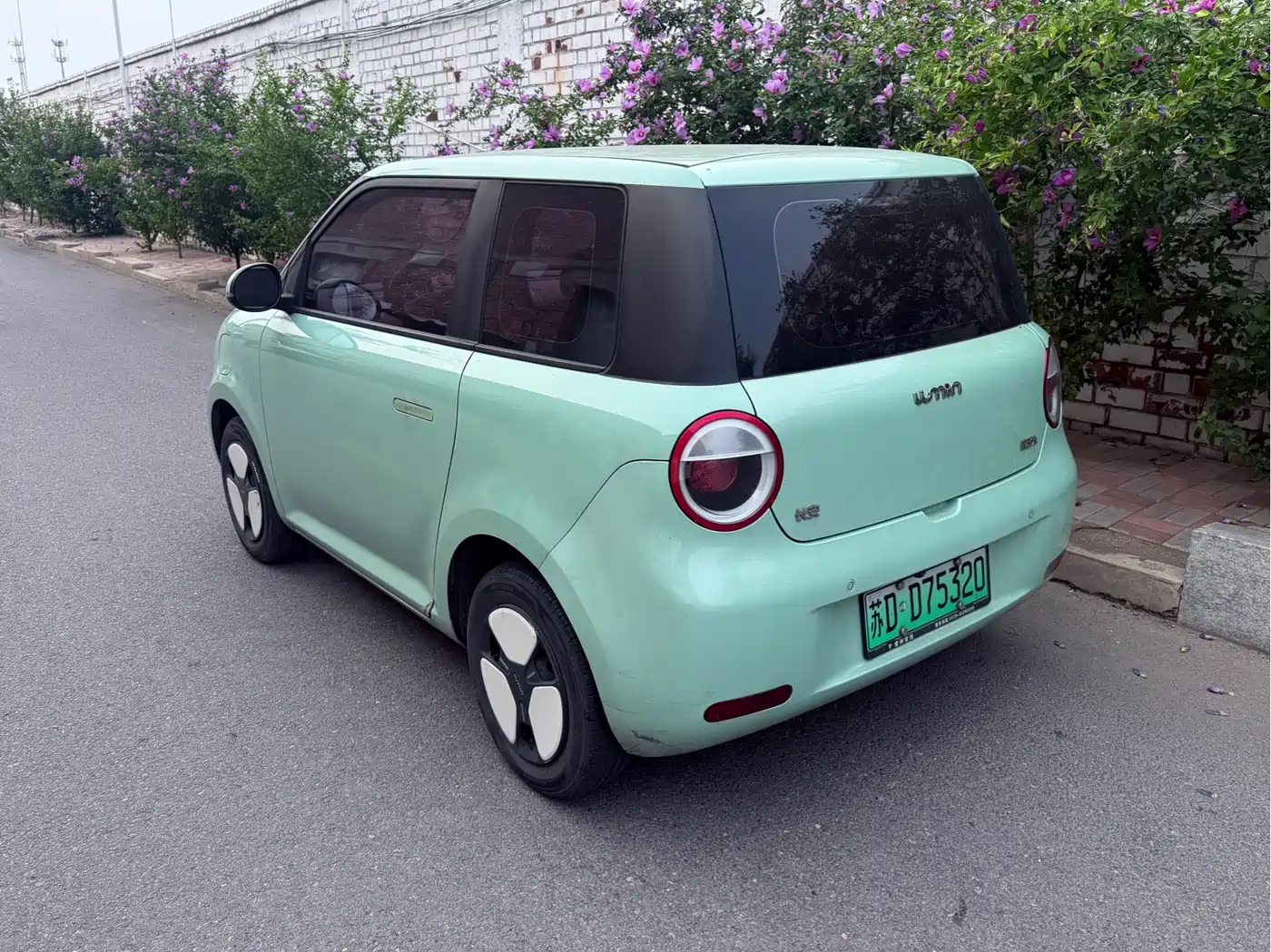 Changan Qiyuan Changan Lumin 2022 2022 155km Fresh Edition