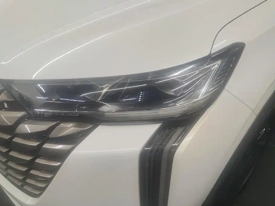 Haval H6 2025 2024 2.0T 2WD Max