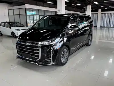 Maxus G20