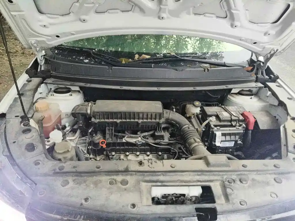 2024 Dongfeng Fengxing Fengxing T5