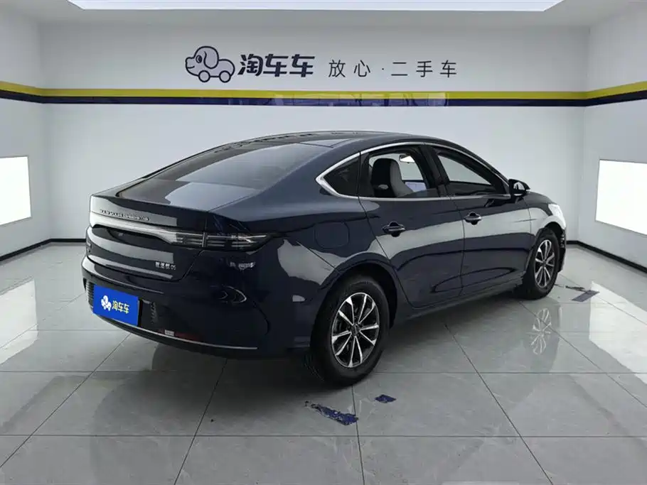 BYD Destroyer 05 2024 Glory Edition DM-i 55KM Luxury фото 3