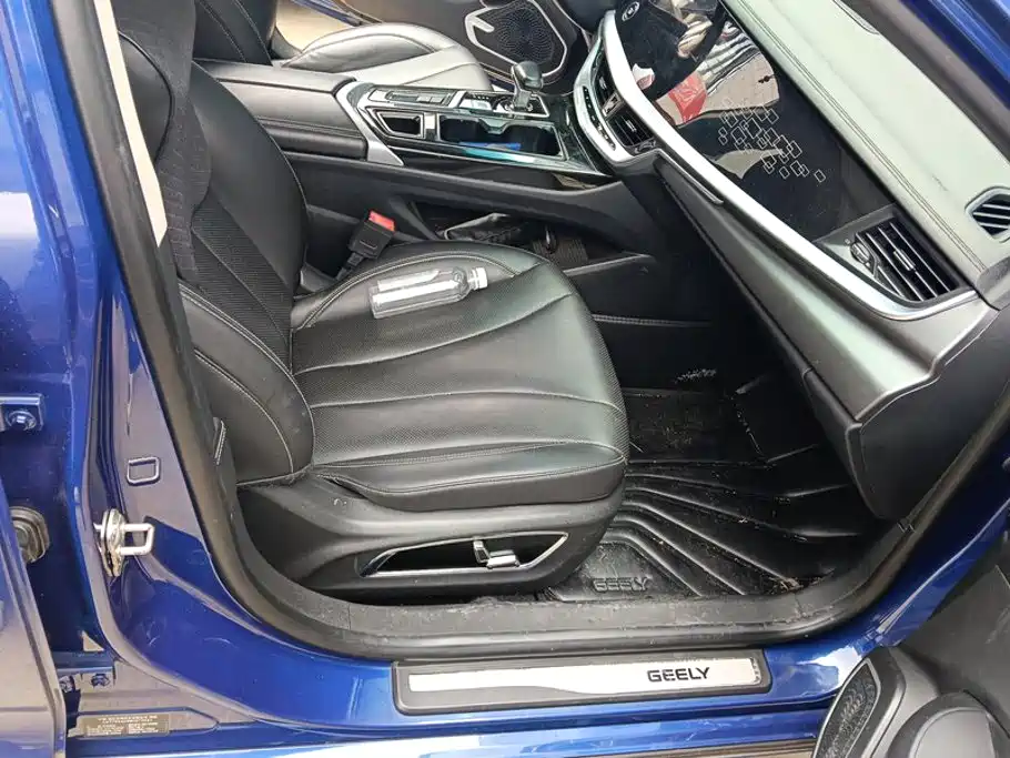 Фото 8 - Geely Borui