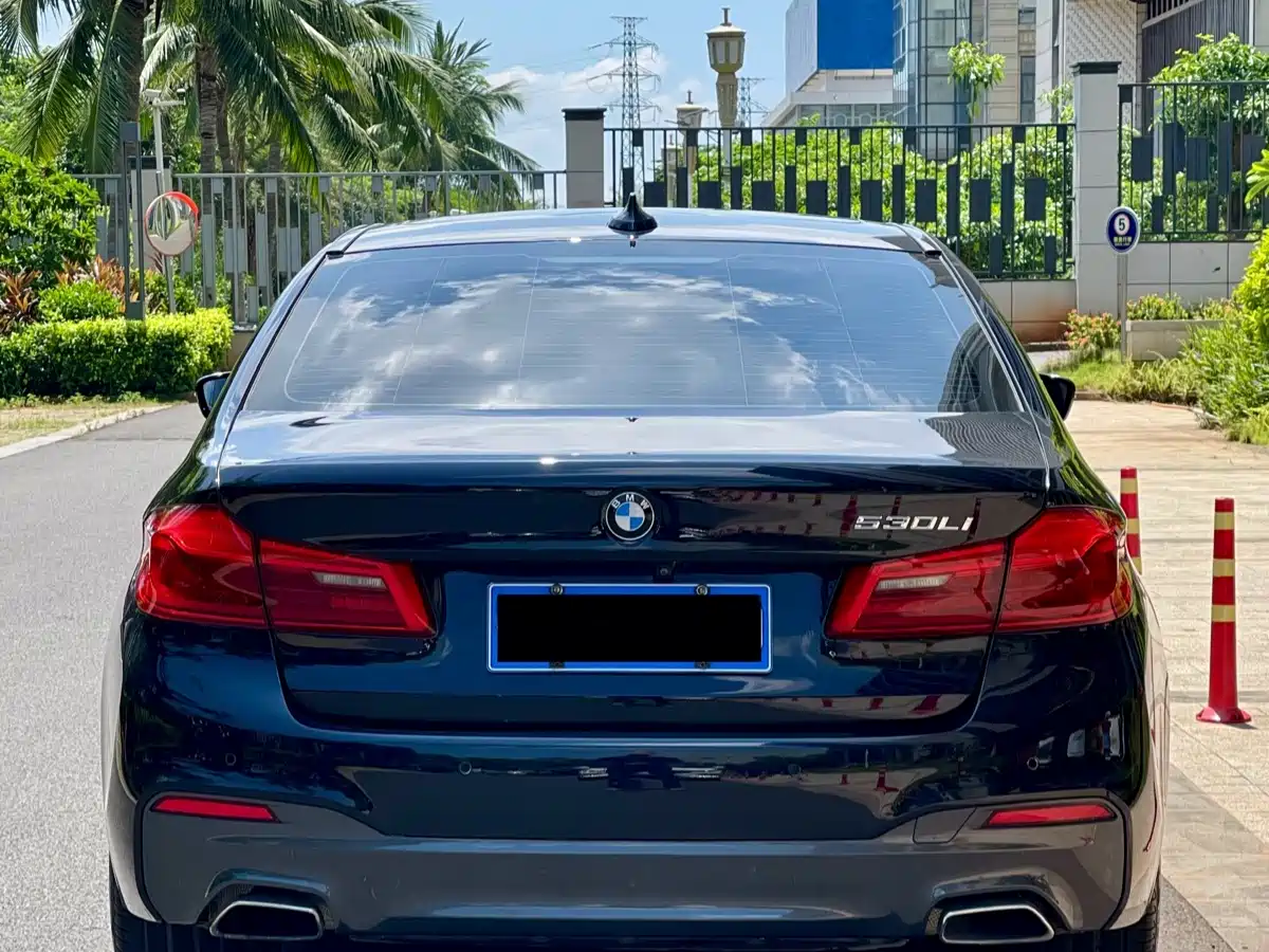 BMW 5 Series 2019 530Li Leading M Sport Package фото 8