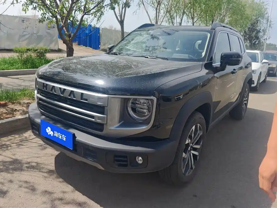 Haval Big Dog 2024 1.5T DCT Border Collie Edition