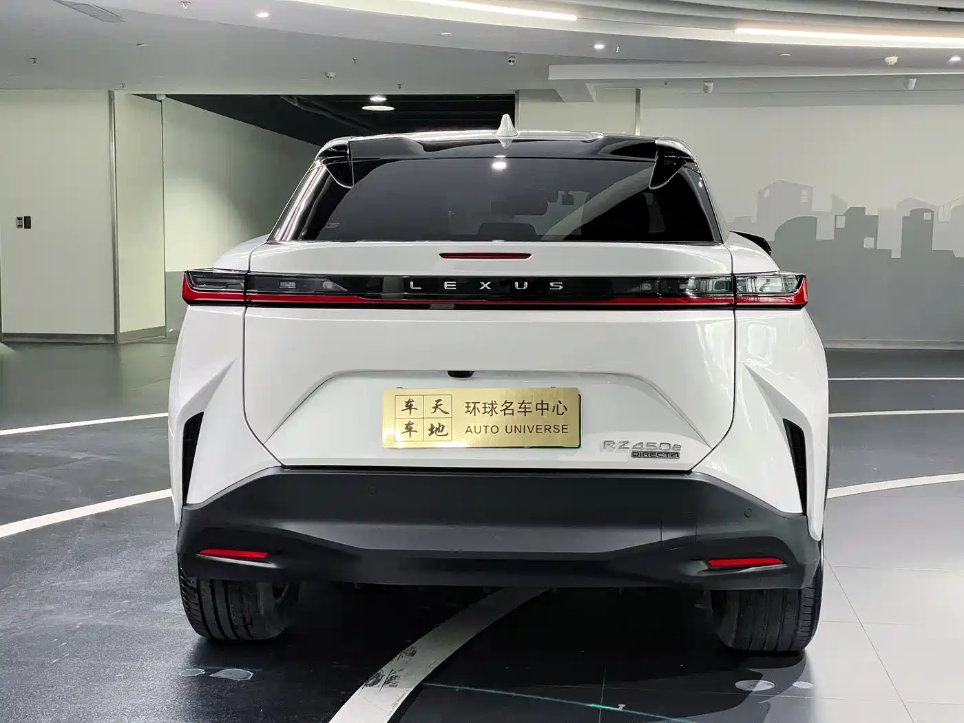 Lexus RZ 2023 450e 4WD Deluxe фото 5