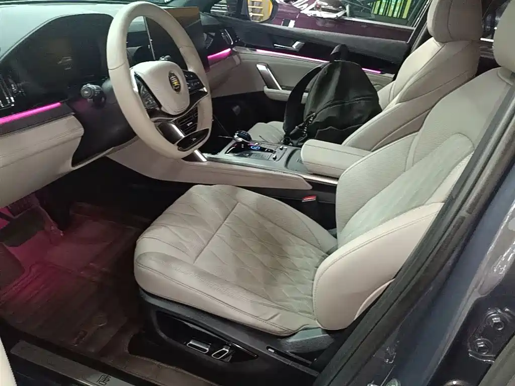 BYD Tang New Energy 2024 DM-i Glory Edition 112KM Deluxe фото 15