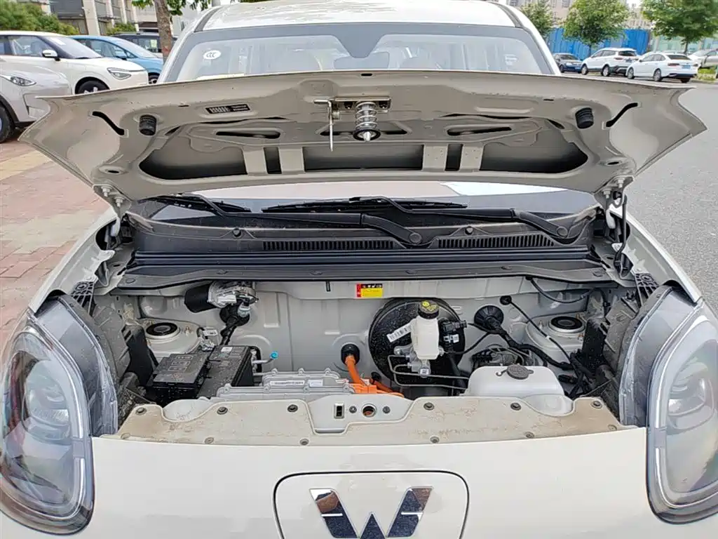 Фото 20 - Wuling Motors Hongguang MINIEV