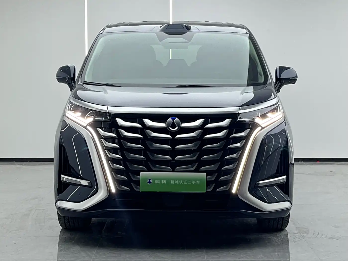 Denza D9 2025 Model DM-i Smart Drive Edition 1020 AWD Flagship фото 2