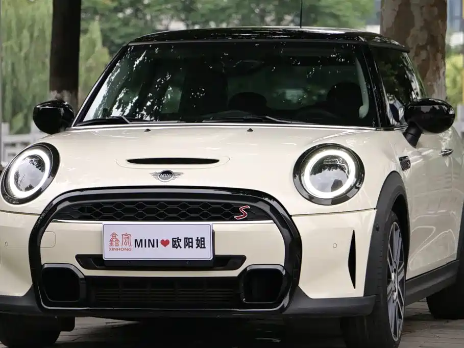 MINI MINI 2022 2.0T COOPER S Artist