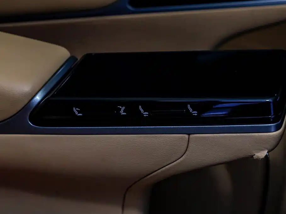 Denza D9 2024 DM-i 980 AWD Premium фото 19