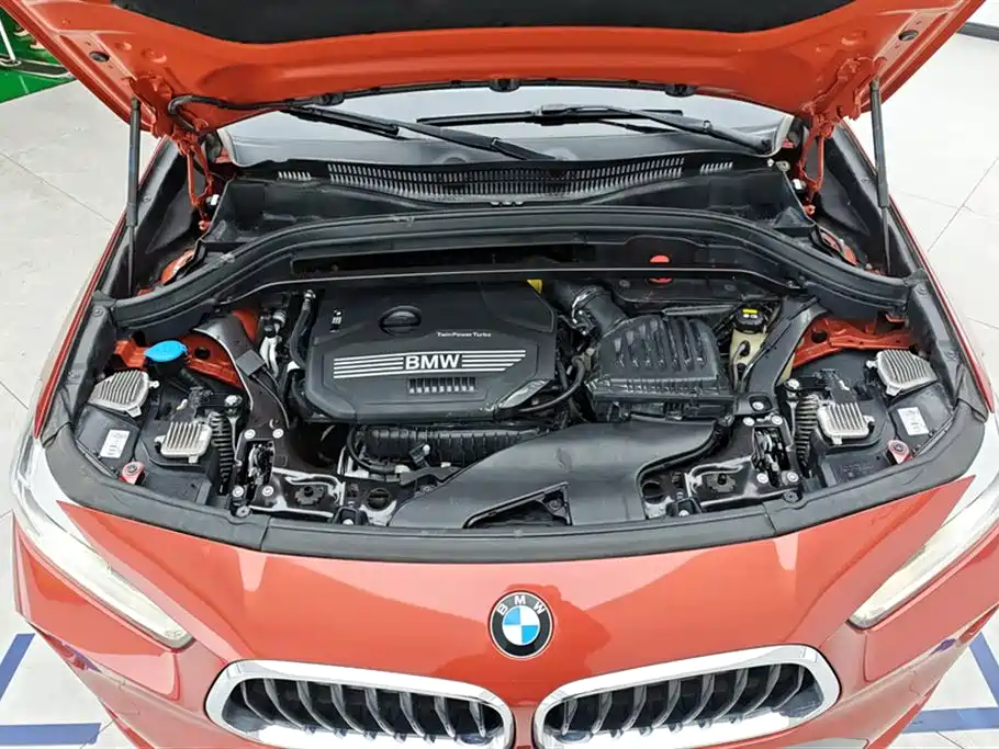 BMW X2 (Import) 2019 sDrive20i M Off-Road Package China VI фото 10
