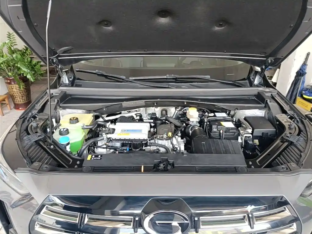 GAC Trumpchi Trumpchi GS4 2024 MAX 1.5T Flagship Edition фото 12