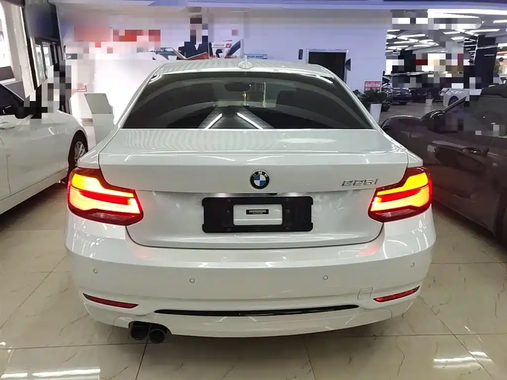 BMW 2 Series (Import) 2019 225i Sport Design Package фото 6