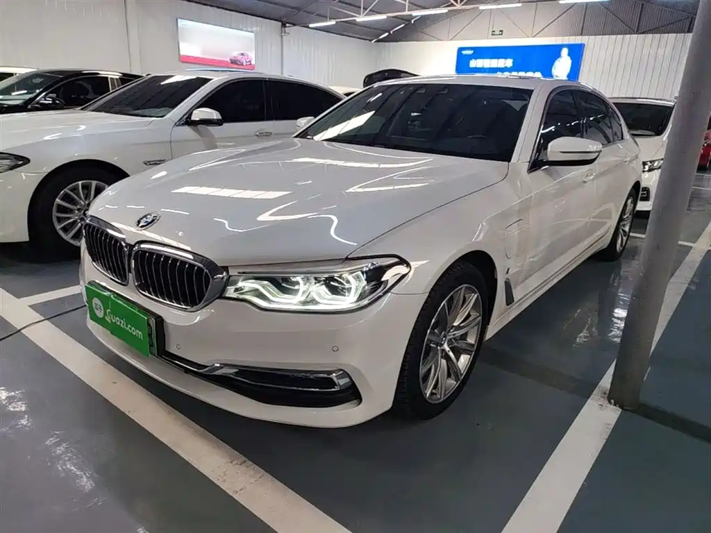 BMW 5 Series New Energy 2019 530Le Luxury Package