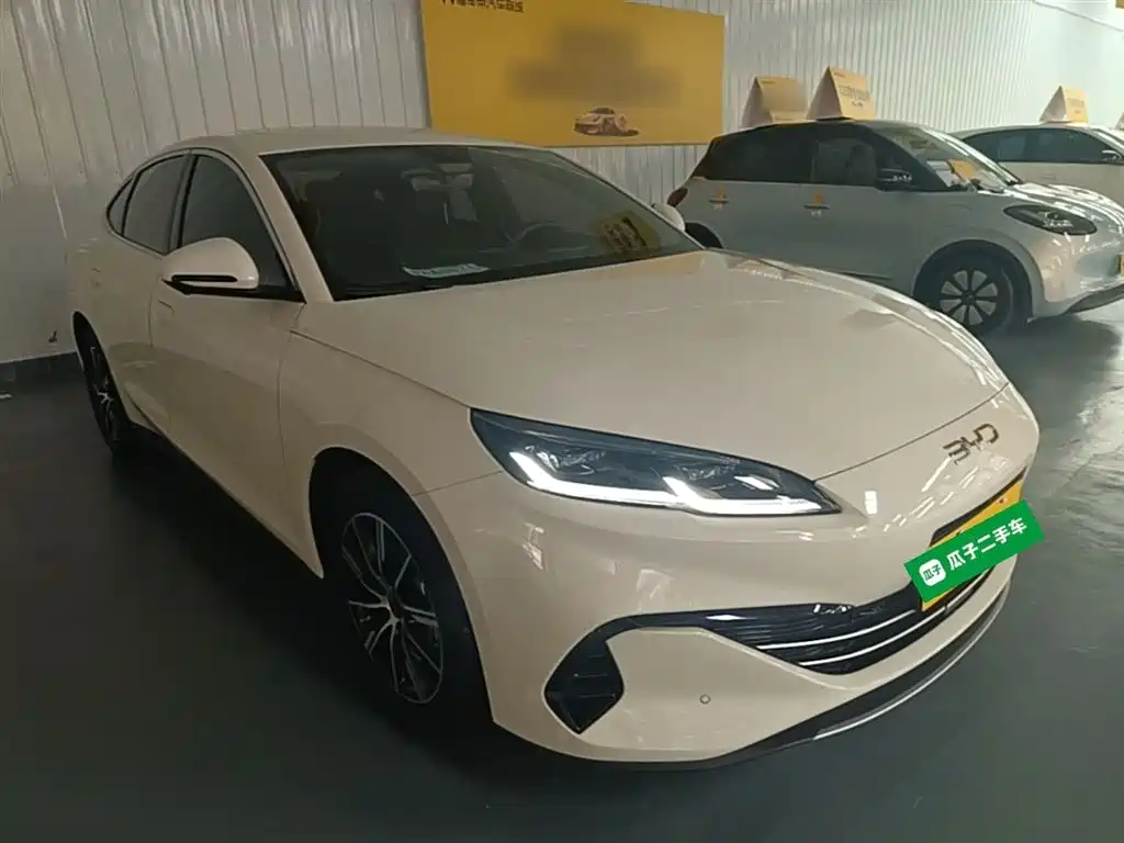 BYD Seal 06 New Energy 2024 DM-i 80KM Prestige фото 4