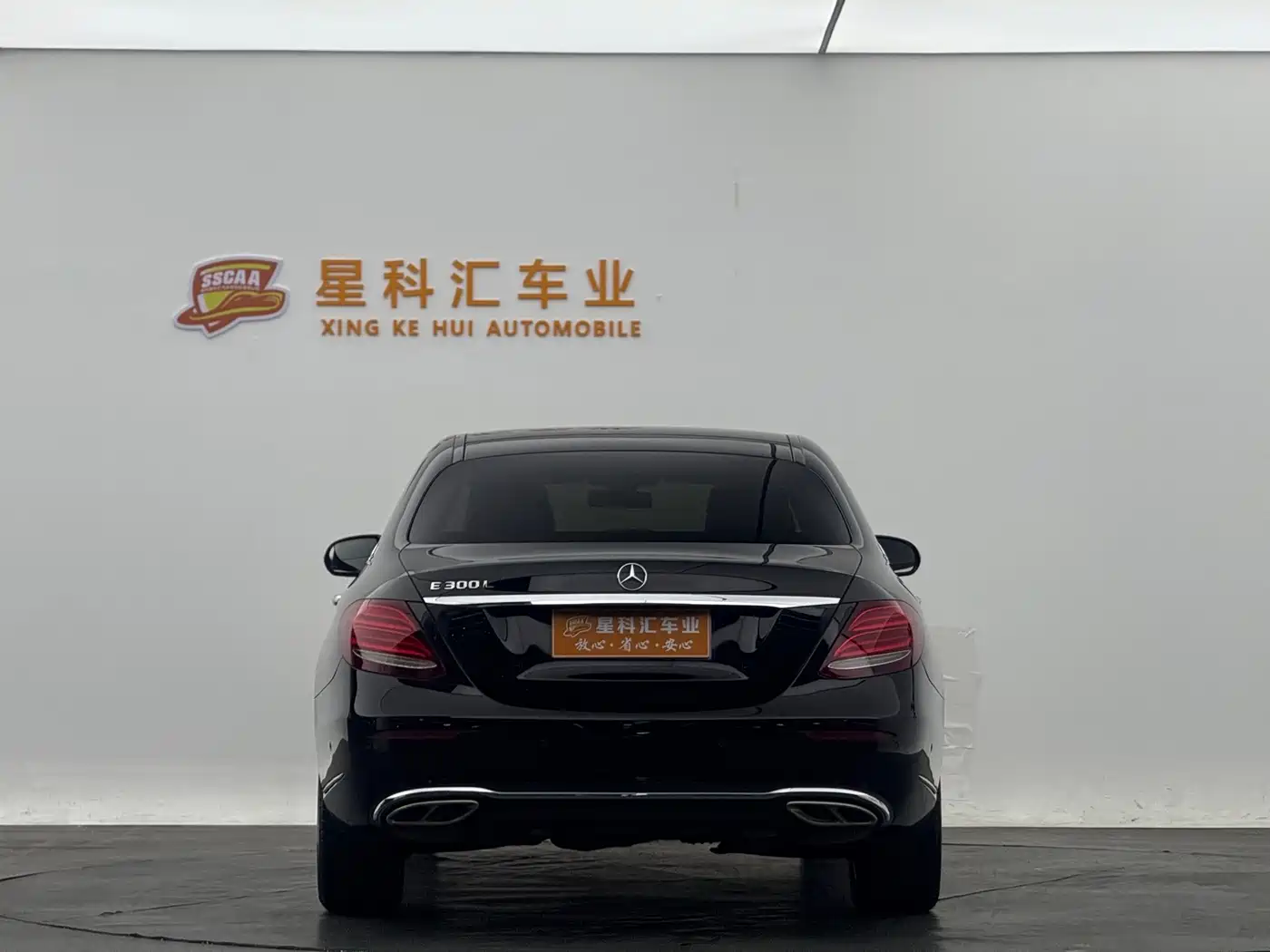 Mercedes-Benz E-Class 2017 E 300 L Luxury фото 14